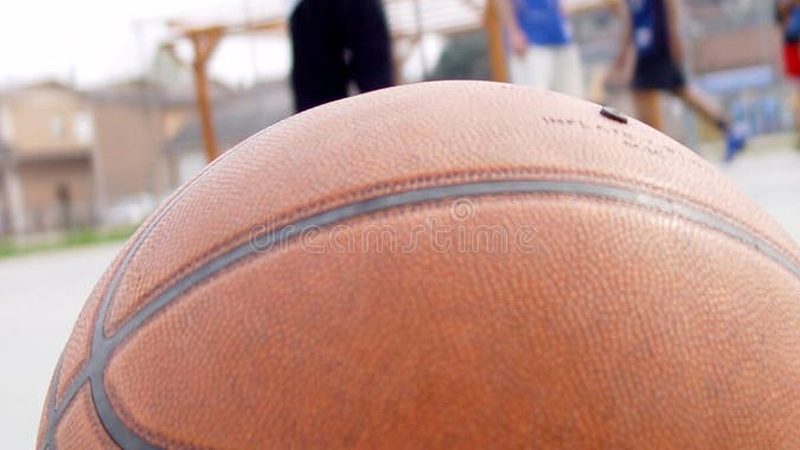 花卉租摆直销厂家：揭秘其优缺点，助您明智选择
