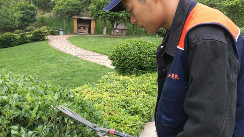 绿化资质挂靠，价格几何？揭秘行业真相**