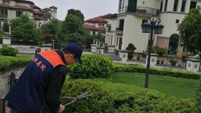 绿化资质挂靠，一场行业信任的博弈