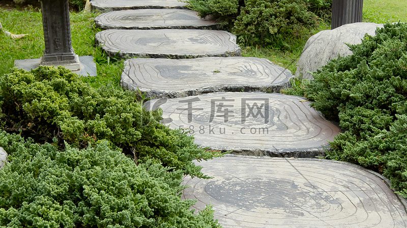 树池深度标准：如何确保树木健康生长