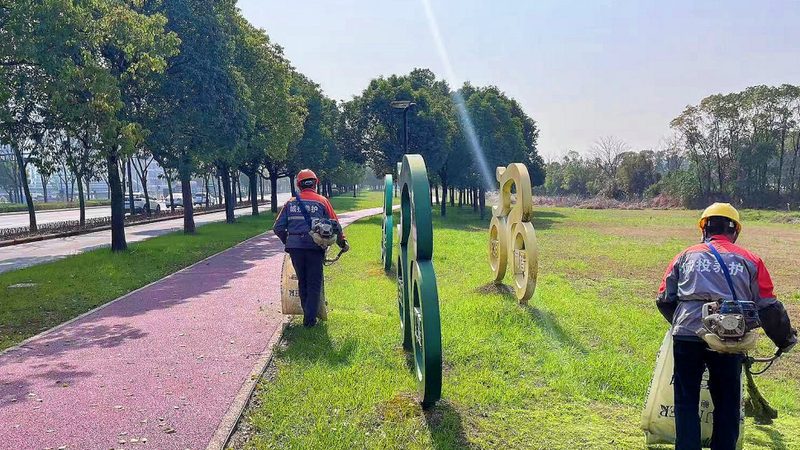 园林绿化乔木批发价格：揭秘其背后的影响因素**