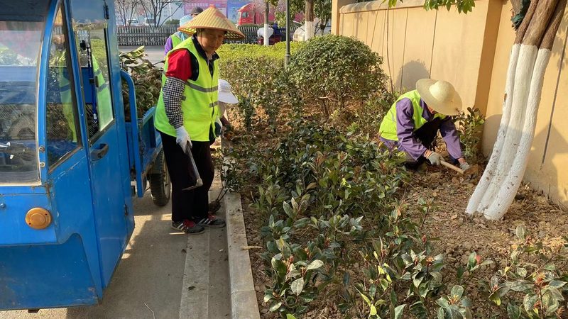 立体绿化材料规格型号：一个被忽视的选型陷阱