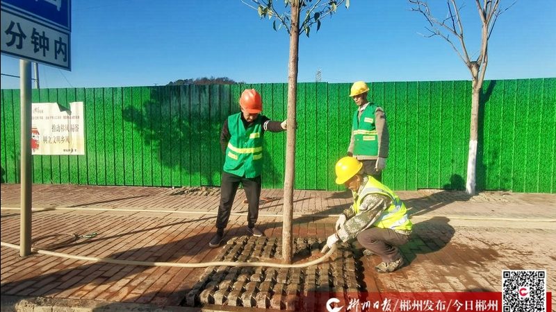 园林工程报价软件：揭秘其核心功能与选型要点