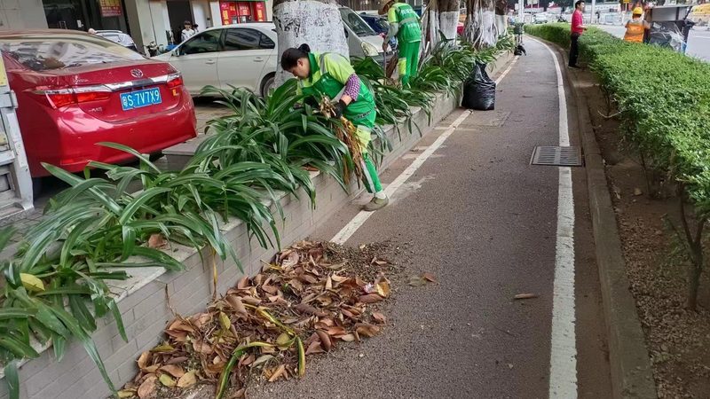 道路绿化工程验收 重庆地方标准到底看什么