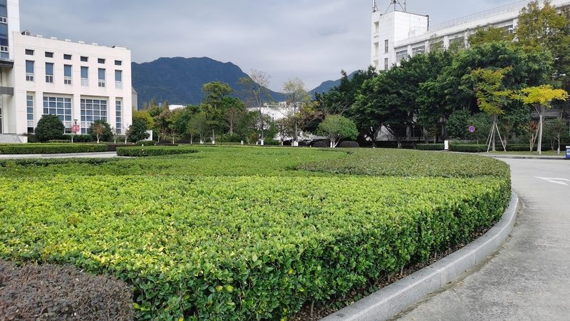 屋顶绿化品牌优缺点分析：揭秘行业佼佼者的秘密武器