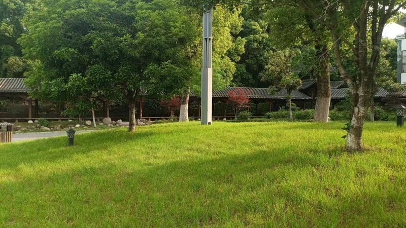 立体绿化工程承包报价：揭秘成本构成与优化策略**