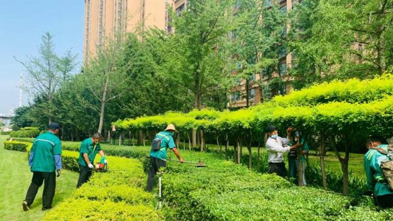 苏州园林绿化工程养护：揭秘关键环节与误区